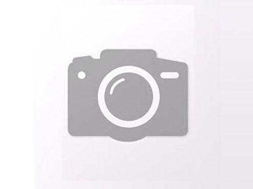 VIP-Ferienhaus 8 Personen